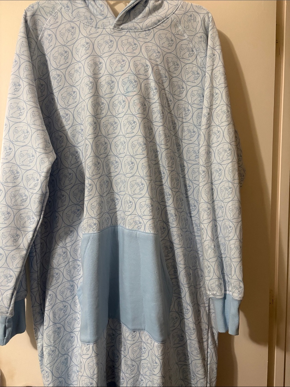 Buc-ee’s Light Blue Patterned Hoodie Dress